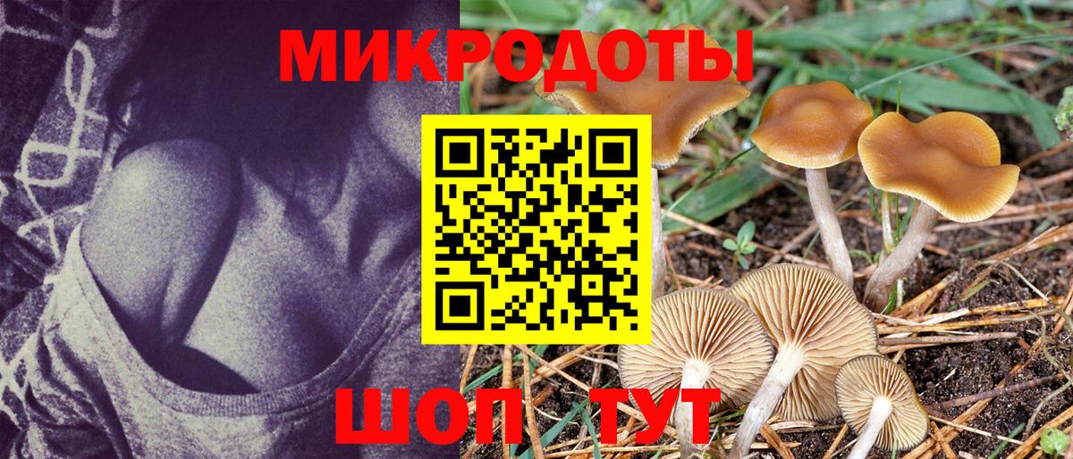 Псилоцибиновые грибы MAGIC MUSHROOMS  Галлюциногенные грибы мухоморы  Вязники  Вход с VPN 